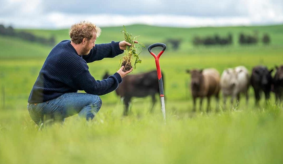 Prairie Harvest Farm