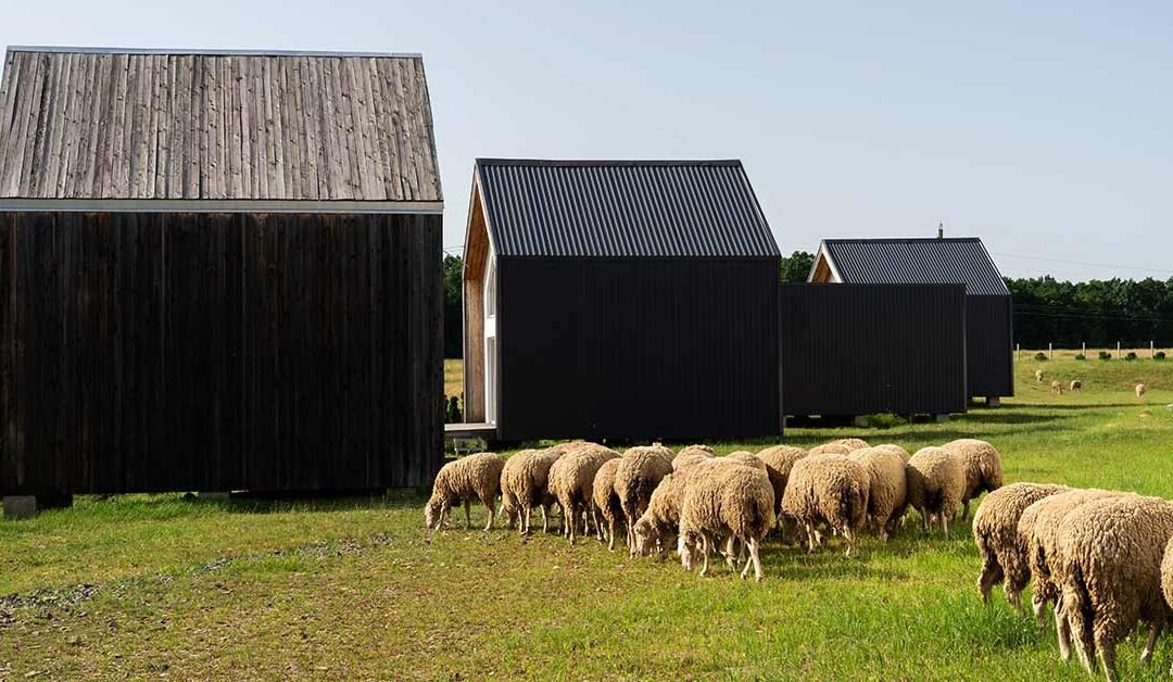 Maple Grove Organics